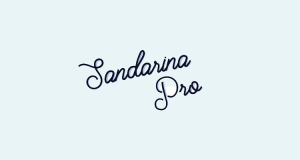 Новый бизнес-практикум Sandarina Pro будет посвящен выживанию в соцсетях