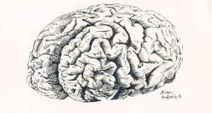 Новосибирские нейрохирурги прооперировали ребенка, которого бросили московские врачи