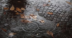 В Саратове прогнозируется дождливый день