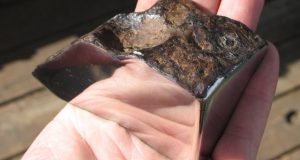 Упавший недалеко от Богуславки метеорит стал туристическим объектом Приморья