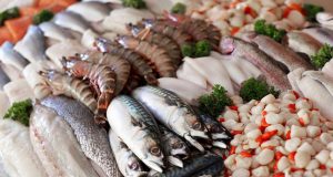 Во Владивостоке построят рынок морепродуктов