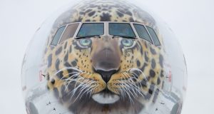 В Приморье появился «Самолет-леопард»