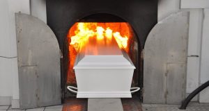 Появились результаты торгов на строительство воронежского крематория