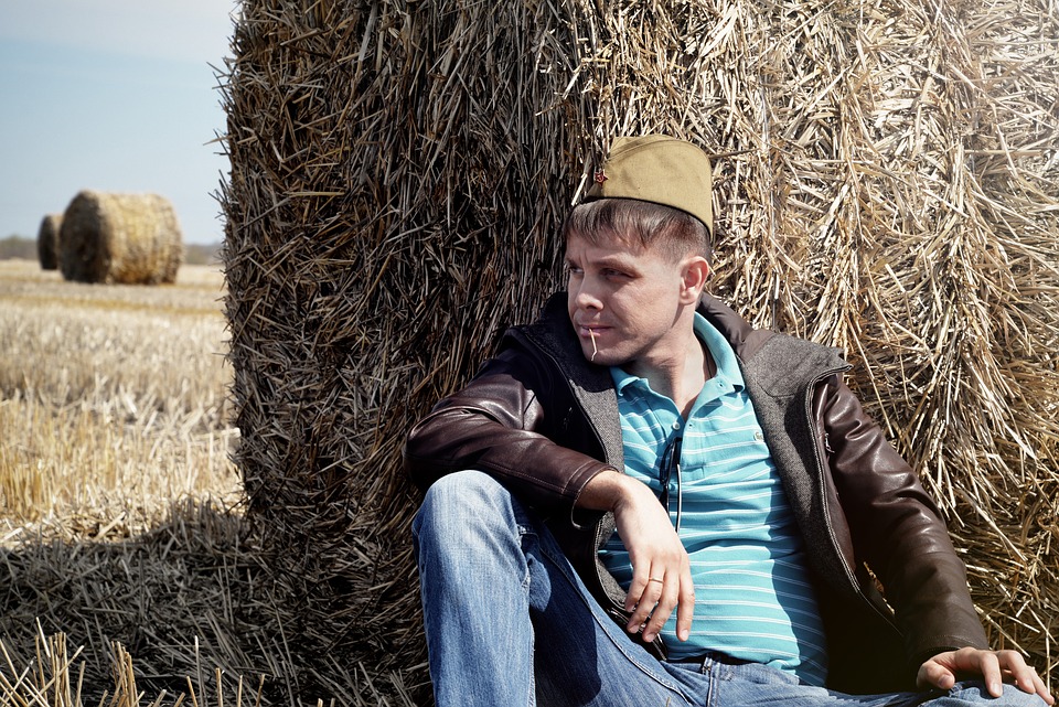 hay-1962585_960_720