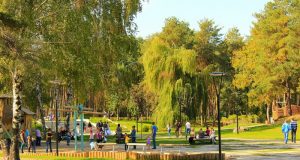 В воронежском парке «Алые Паруса» появится детский лагерь